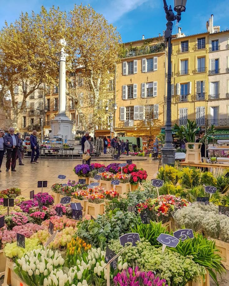 Экс-ан-Прованс